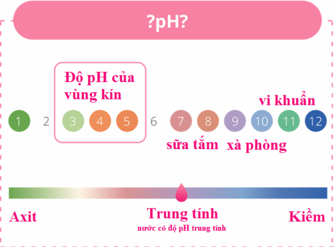 can-bang-do-pH-vung-kin-Mitudo-3
