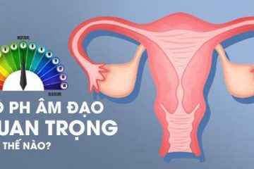pH âm đạo mất cân bằng gây tổn hại gì? Làm cách nào để cân bằng?